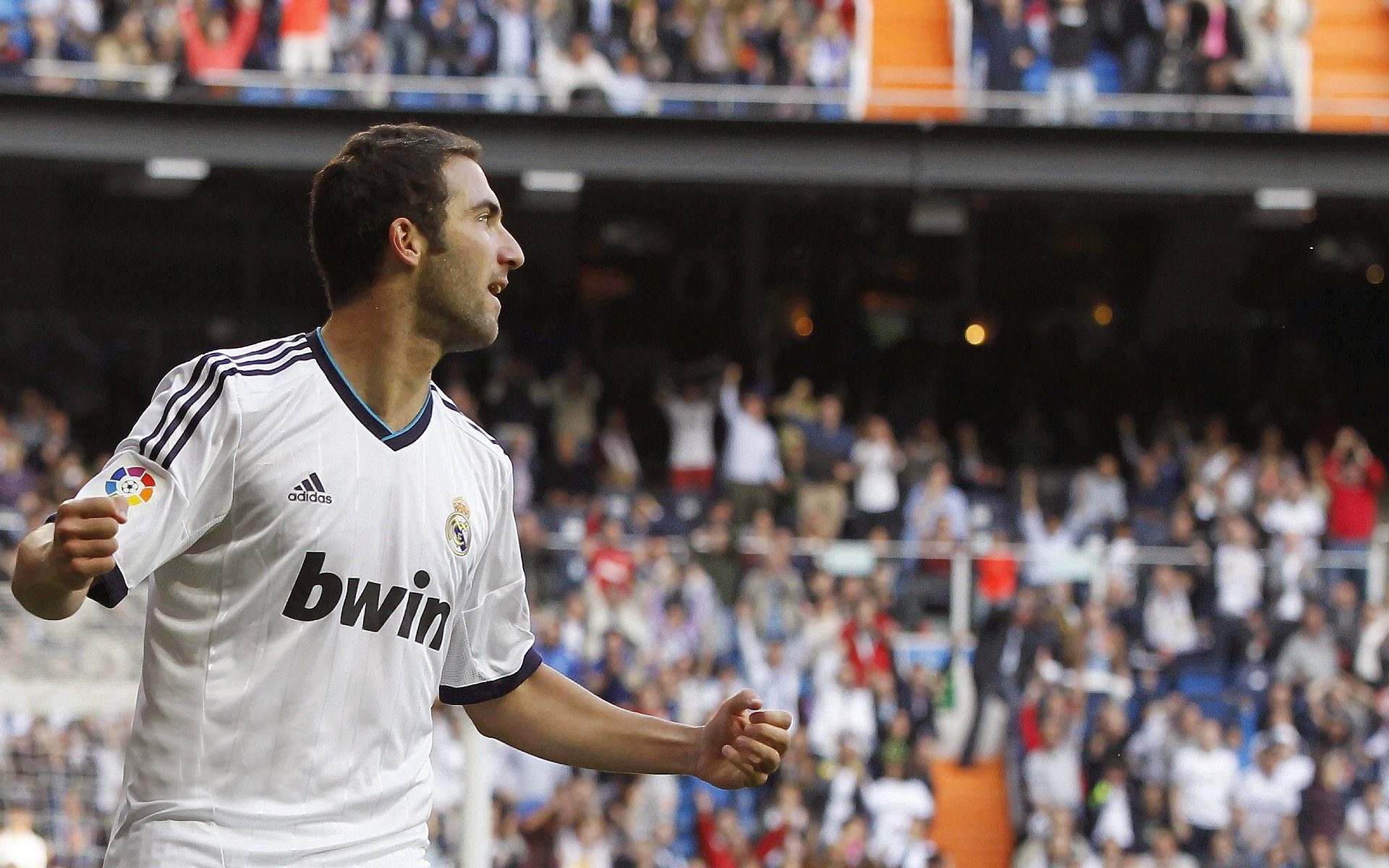 _硬地、草地、红土：不同场地对运动员的考验_，红土草地硬地网球一样吗